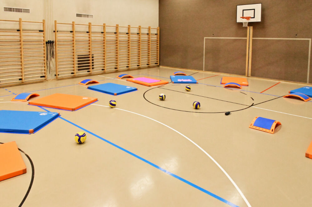 FZ6 Volley Dynos 8953