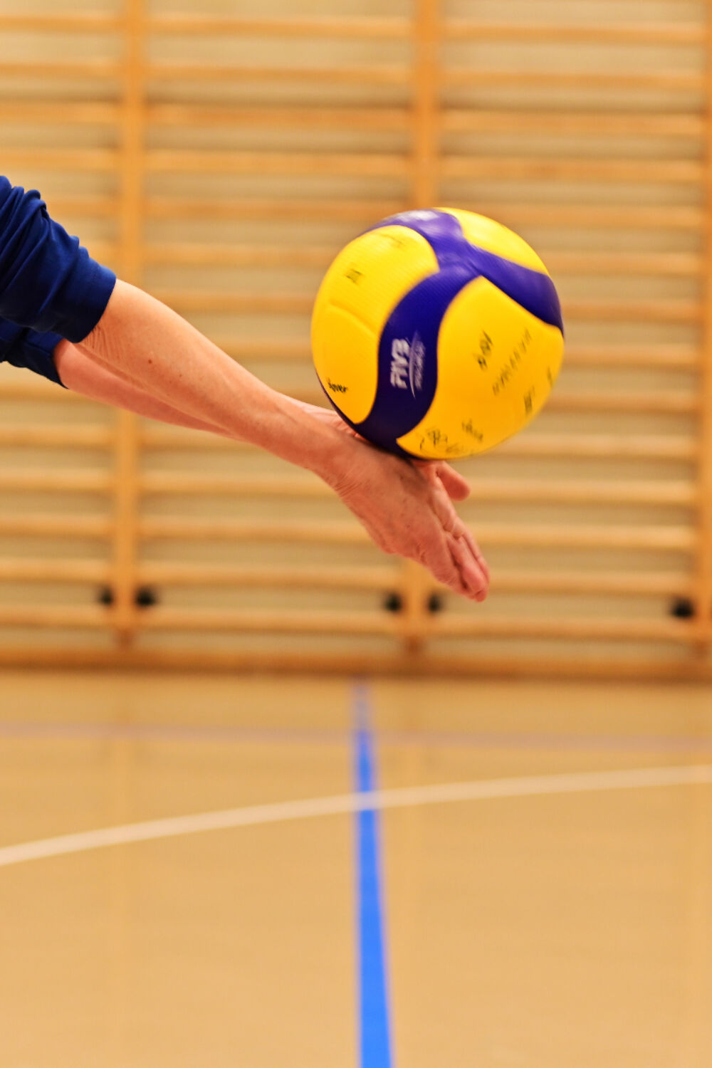 FZ6 Volley Dynos 9039