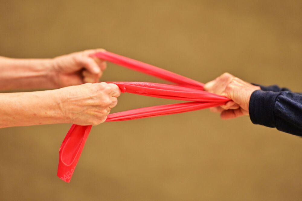 FZ6 Volley Dynos 9045